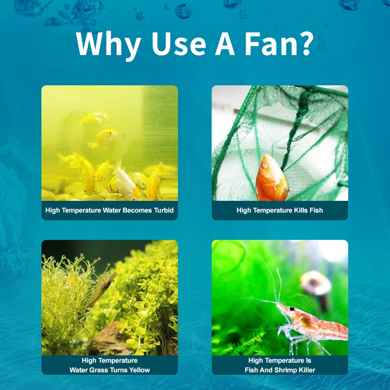 Jebao Jecod Serie ACF Ventola  - Marine Aquarium Uk recensione e prezzo