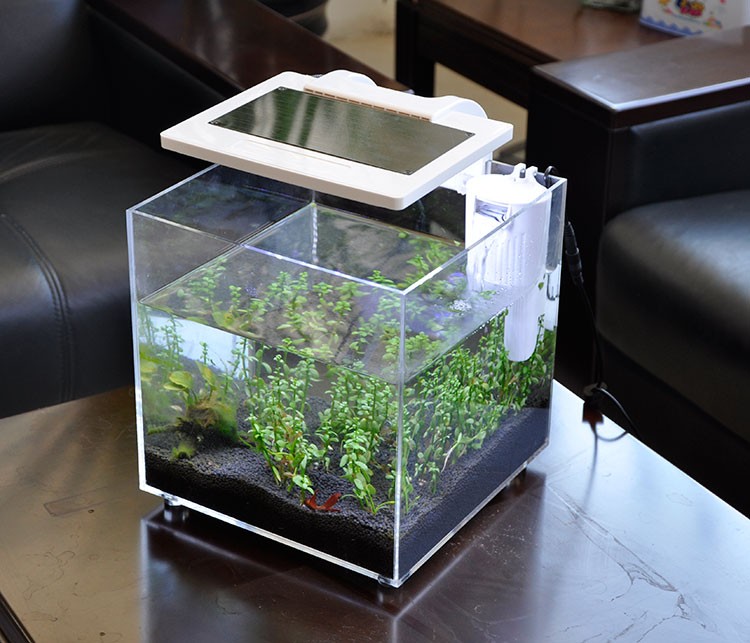 Mini Acquario in Acrilico (25* - Aquarium Marina recensione e prezzo