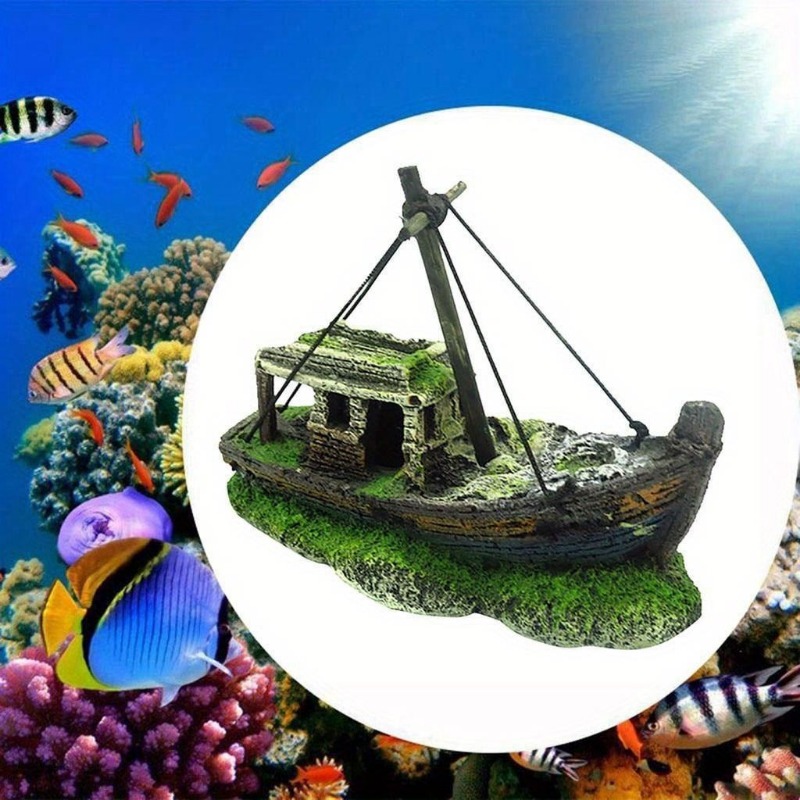 Acquario Acquario Paesaggio Wr - Aquarium Marina recensione e prezzo