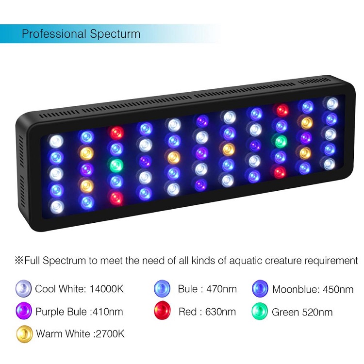 Controllo wireless BT Spettro  - Marine Aquarium Price recensione e prezzo