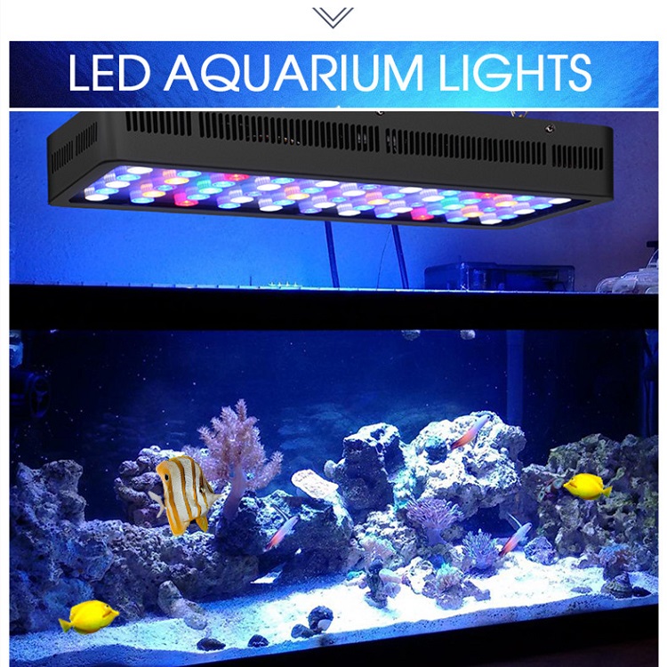 Controllo wireless BT Spettro  - Marine Aquarium Price recensione e prezzo